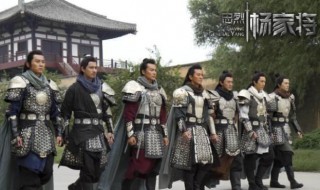 宋朝杨家七子都叫什么名字（宋朝杨家七子都叫什么名字来着）