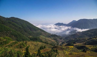 丽水旅游攻略（丽水旅游攻略必去景点推荐）