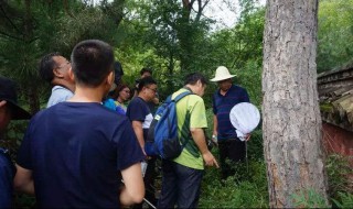 有害生物防治什么意思 有害生物防治是干啥的