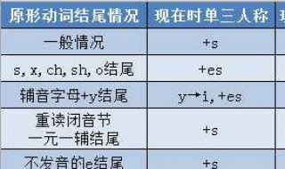 动词第三人称单数如何变化（动词第三人称单数变化规则口诀）
