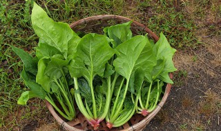 菠菜丸子的做法（清汆丸子的家常做法）