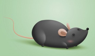怎么快速清除家里老鼠（怎样彻底清除家里的老鼠）