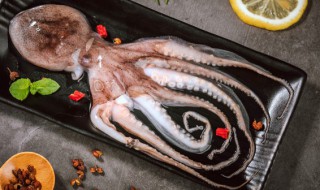 章鱼的做法怎么做好吃 八爪鱼怎样焯水又嫩又好吃