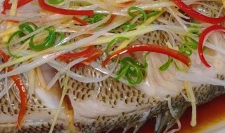 淡水鲈鱼怎么做好吃（淡水鲈鱼和海鲈鱼哪个好吃）