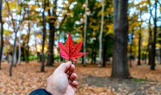 一年四季如何分几个月（一年四季怎么分几个几月了）