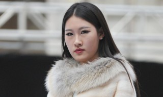 裘皮和貂皮有什么区别（裘皮和貂皮一样吗）