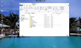 windowsold可以删除吗（可以删除windows.old吗）