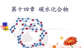 碳水化合物的生理功能是什么 碳水化合物的生理功能是什么意思