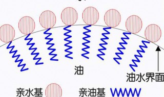 表面活性剂的作用 表面活性剂的作用与功效