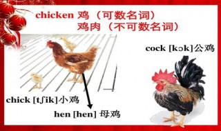 chicken可数吗 fish和chicken可数吗