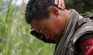 什么东西越热越爱出来 什么东西越热越爱出来打一生肖