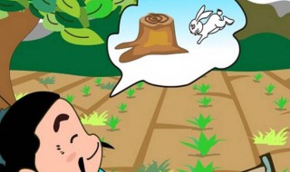守株待兔的成语故事（守株待兔的成语故事视频）