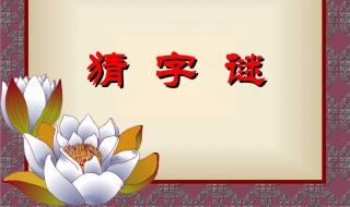 斩草不除根打一字（斩草不除根打一字谜底是什么）