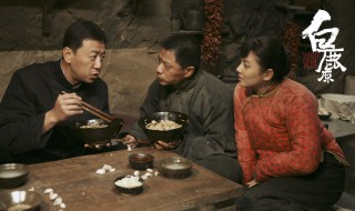 白鹿原影评 白鹿原影评视听语言