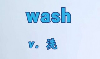 wash的第三人称单数（wash的第三人称单数为什么加es）