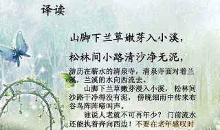 浣溪沙的诗意 浣溪沙的诗意是什么