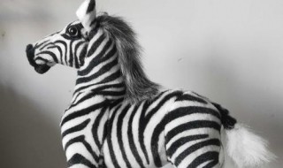 zebra怎么读 horse怎么读