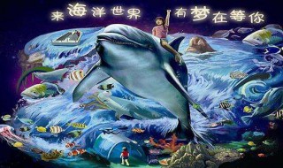 深圳海洋世界攻略 深圳海洋世界门票价格