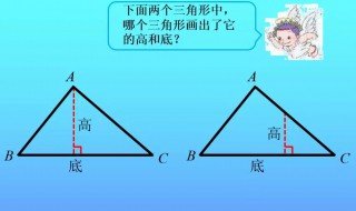 三角形的高的定义（三角形的高的定义是几年级学的）