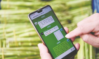 钉钉企业微信崩溃怎么回事（企业微信 钉钉）