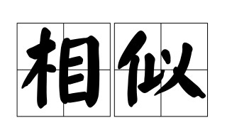 相似的近义词 相似的近义词是什么 标准答案