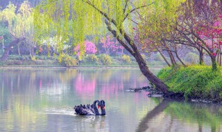 山重水复疑无路（山重水复疑无路是谁写的）