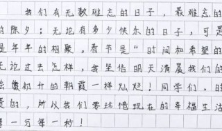 一个让我难忘的日子作文（一个让我难忘的日子作文500字）