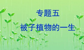 被子植物的一生知识点（被子植物的一生知识点手抄报）