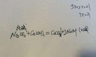 纯碱制烧碱化学方程式 工业纯碱制烧碱化学方程式