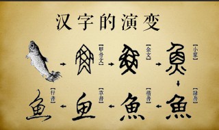 汉字甘表示什么（汉字甘表示什么多少）