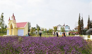 西安薰衣草庄园几月份去最好（西安薰衣草庄园适合什么时候去）