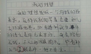 我的愿望或理想作文（我的愿望或理想作文应该怎么写）