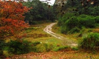 福清大化山介绍（福清大化山在哪里）