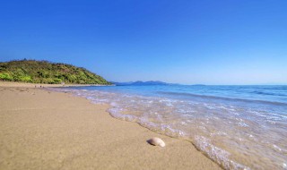 深圳观海湾大沙滩简介 深圳观海湾大沙滩简介概况