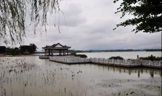 东莞松湖烟雨简介（东莞松湖烟雨开放时间）