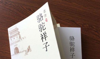 骆驼祥子读后感500字（骆驼祥子读后感500字初中）