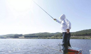 虾仁能钓鱼吗（虾仁能不能钓鱼）