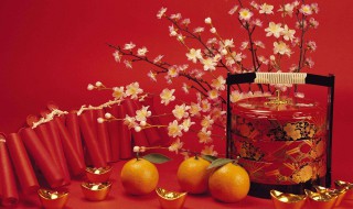 春节的作文 春节的作文三年级300字