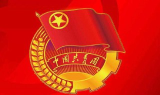 团校学习心得（团校心得体会800字）