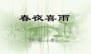 春夜喜雨（春夜喜雨古诗朗诵跟读）