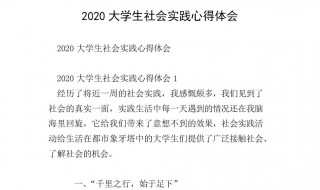 社会实践的心得体会（去公园捡垃圾社会实践的心得体会）