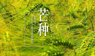 适合芒种节气的活动 芒种节气方案