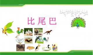 比尾巴教案 一年级比尾巴教案