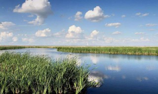 世界湿地日什么时候 世界湿地日是什么时候几月几日