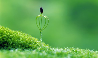 珍惜生命的名言 珍惜生命的名言警句