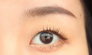 单眼皮眼影的画法 单眼皮眼影的画法图解