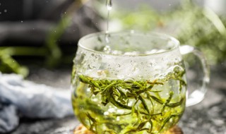 小苦丁茶的功效和食用禁忌（小苦丁茶的功效和食用禁忌有哪些）