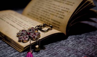 阐明读音 阐明读音读音