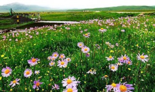 花湖海拔 花湖海拔多少米