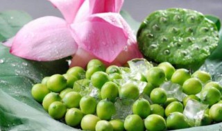 莲花中的莲子能吃吗 莲花中的莲子能吃吗有毒吗